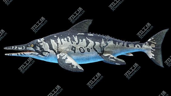 images/goods_img/20210312/3D Ichthyosaur/4.jpg